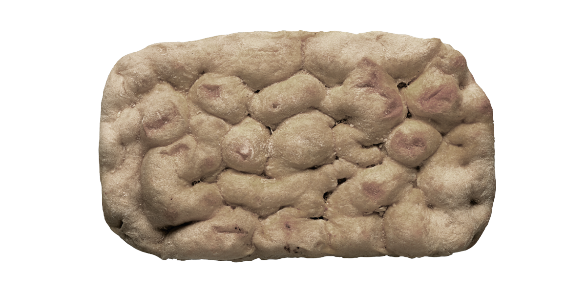 base focaccia cariosa segale
